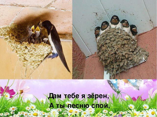 А. Плещеев, в Сельская песня&raquo; 7