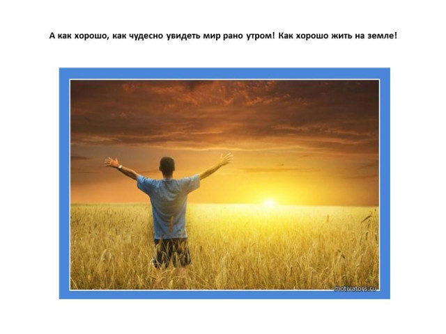 Г. Балл. &laquo;Желтячок&raquo; 10