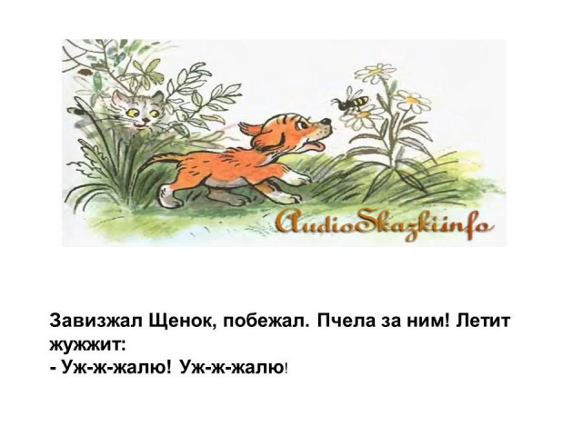 В. Сутеев. &laquo;Кто сказал "мяу"? 11