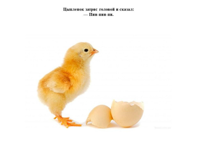 Г. Балл. &laquo;Желтячок&raquo; 4