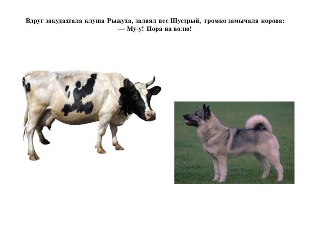 Г. Балл. &laquo;Желтячок&raquo; 8