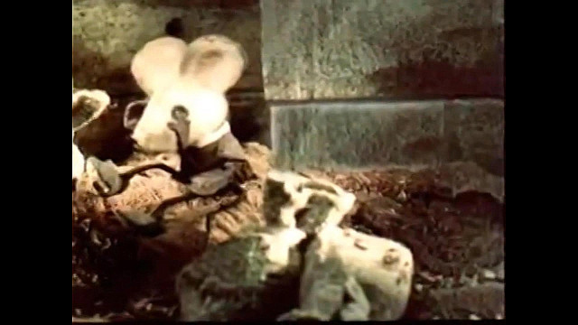 &laquo;У страха глаза велики&raquo;, обр. М. Серовой 24