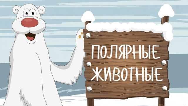 ПОЛЯРНЫЕ ЖИВОТНЫЕ! Развивающие мультики на русском для самых маленьких 2017 Учим животных для детей