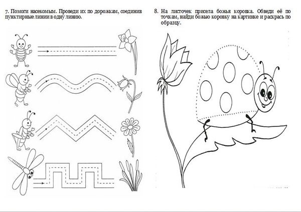 Презентация с заданиями для дошкольников насекомые