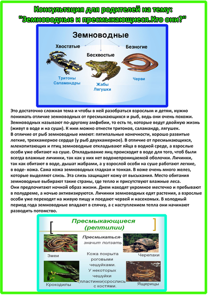 Презентация на тему пресмыкающиеся средняя группа