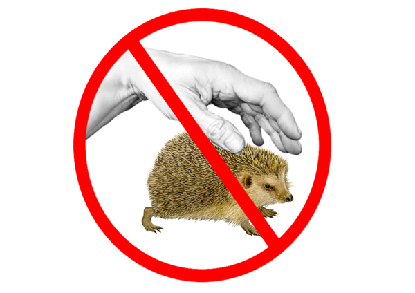 Знак нельзя брать животных домой. Знак не трогать животных. Природоохранные знаки. Экологические знаки животные.