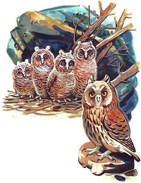 С. Маршак &laquo;Совята&raquo; 1