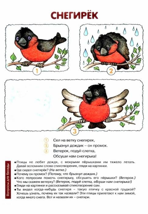 &laquo;Снегирек&raquo;, пер. с нем. В. Викторова 3