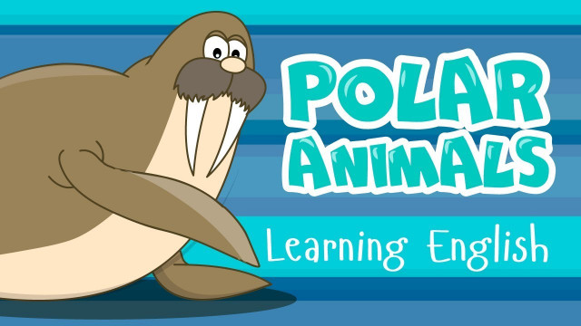 POLAR ANIMALS for kids || English for children - learn animals || Funny cartoons for toddlers