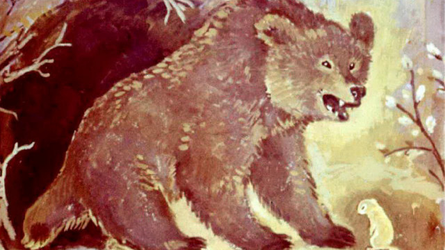 Интересный рассказ Медведь и бурундук